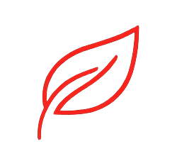Fenntartható fejlődés